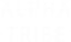 Nirbhay Colours India Ltd logo